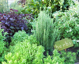 Herbs
