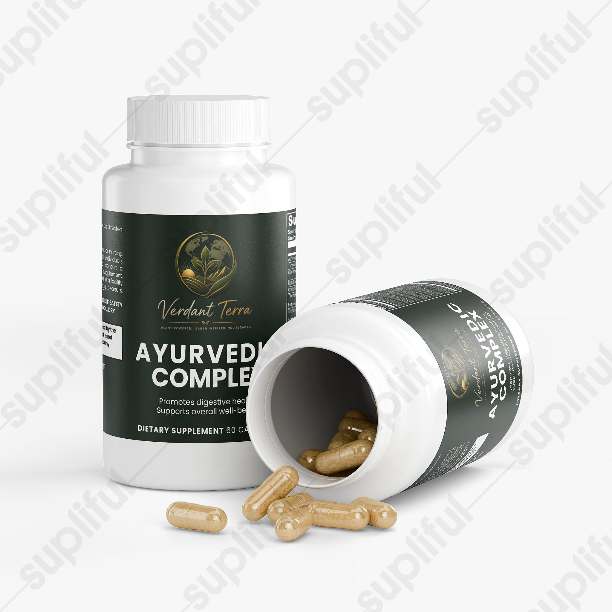 Ayurvedic Complex