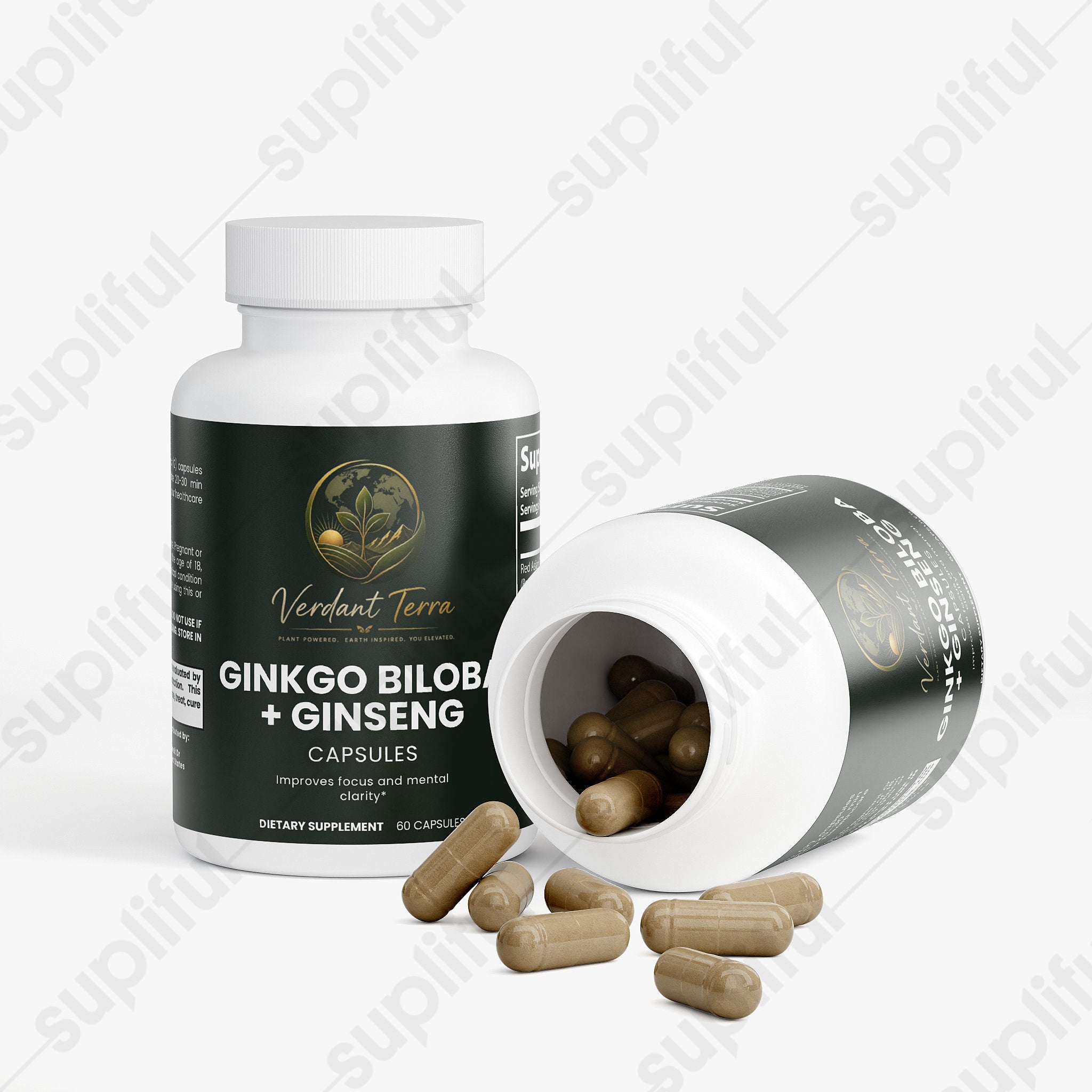 Ginkgo Biloba + Ginseng