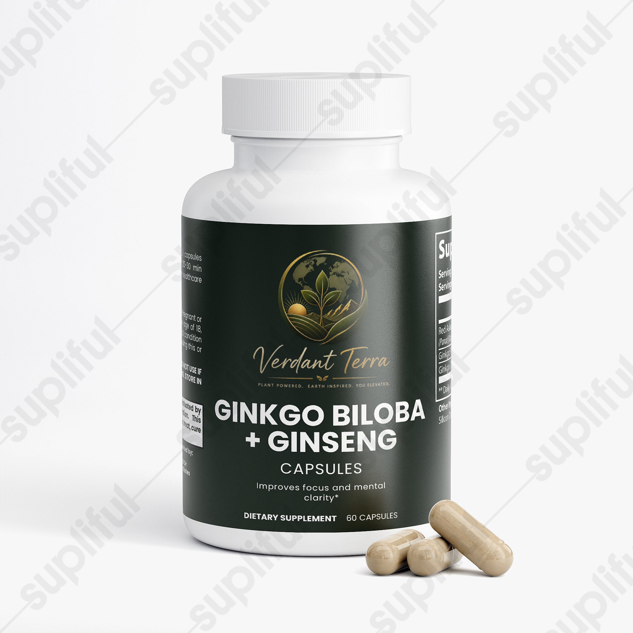 Ginkgo Biloba + Ginseng