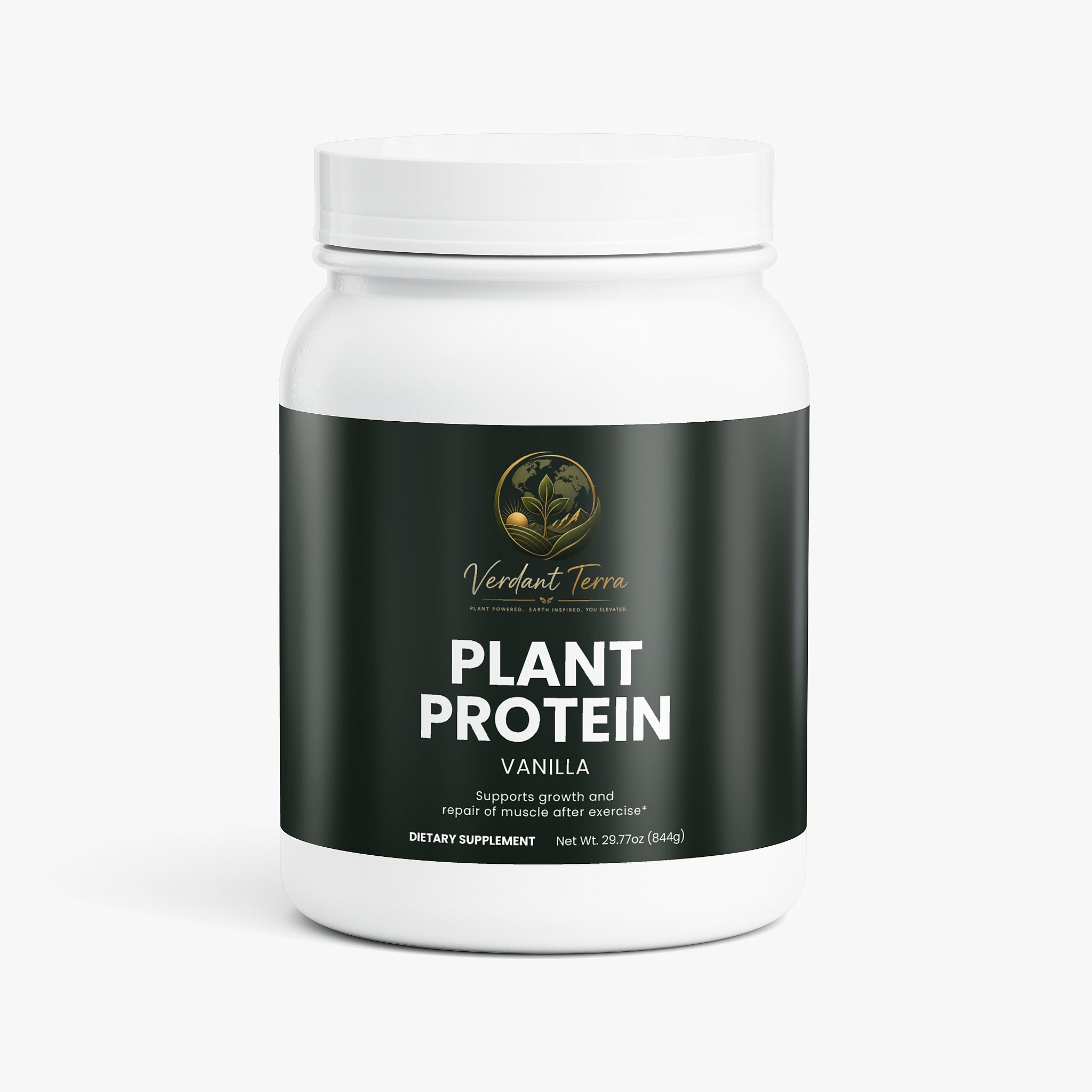 Plant Protein (Vanilla)